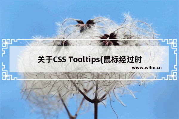 关于CSS Tooltips(鼠标经过时显示)的效果