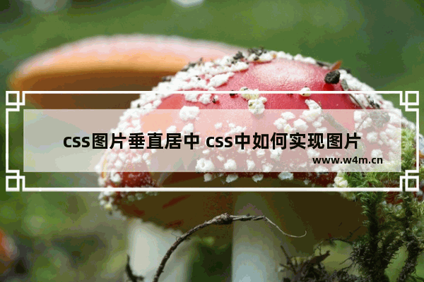 css图片垂直居中 css中如何实现图片垂直居中