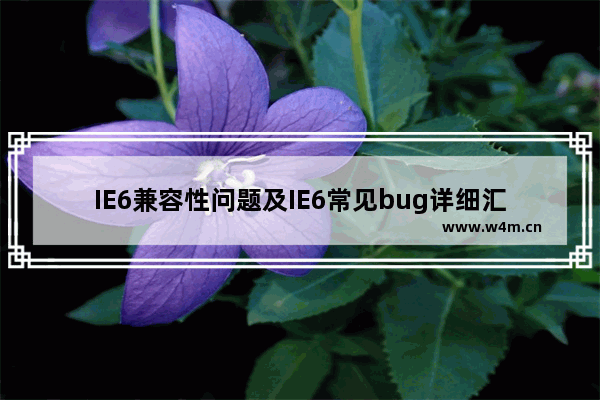 IE6兼容性问题及IE6常见bug详细汇总