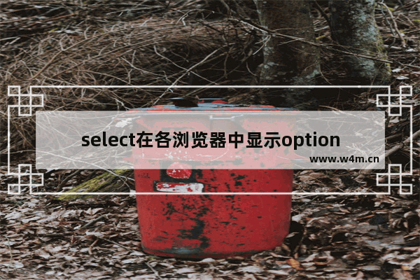 select在各浏览器中显示option的测试结果分享