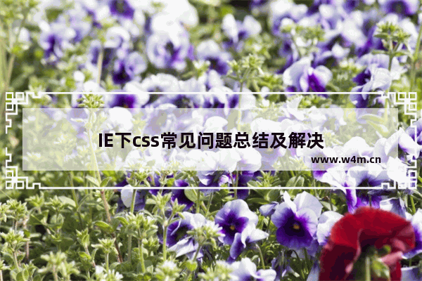 IE下css常见问题总结及解决