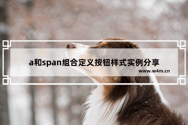 a和span组合定义按钮样式实例分享