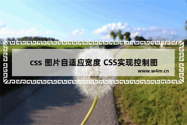 css 图片自适应宽度 CSS实现控制图片自适应显示宽度代码