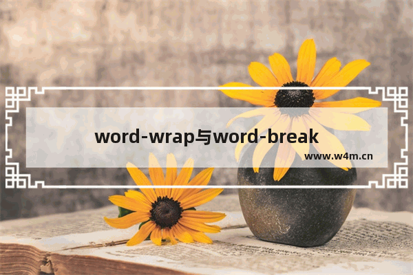 word-wrap与word-break 属性的概述及浏览器默认处理