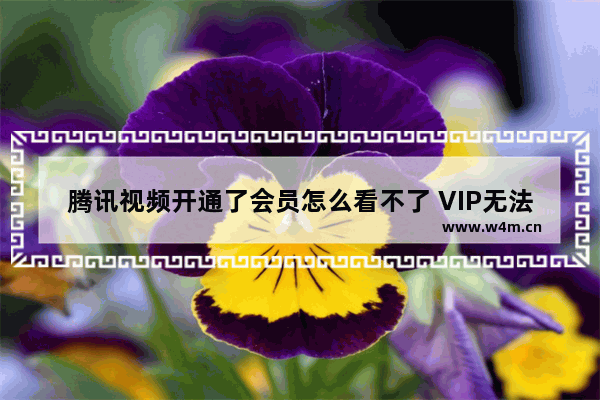 腾讯视频开通了会员怎么看不了 VIP无法观看收费视频怎么办