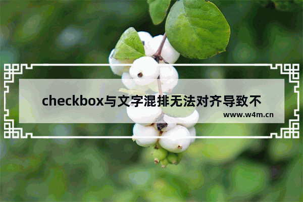 checkbox与文字混排无法对齐导致不美观的解决方法