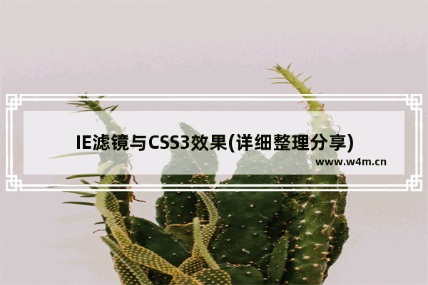 IE滤镜与CSS3效果(详细整理分享)