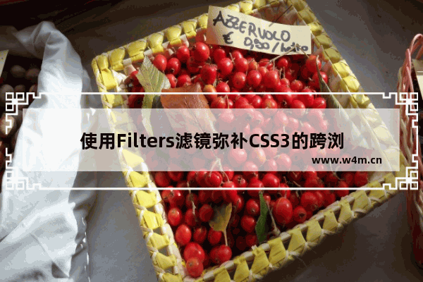 使用Filters滤镜弥补CSS3的跨浏览器问题以及兼容低版本IE