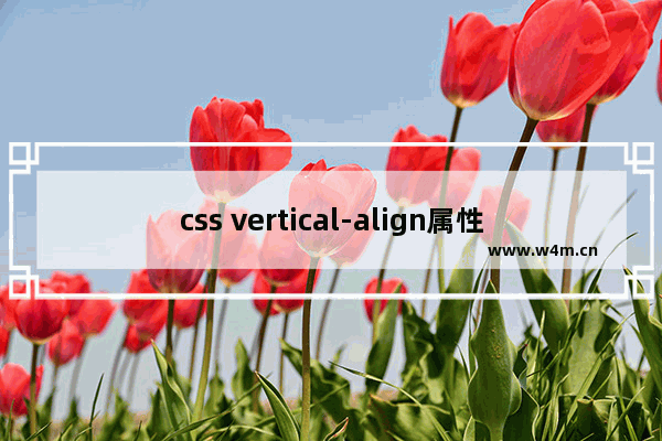 css vertical-align属性的一些理解与认识(二) text-top篇