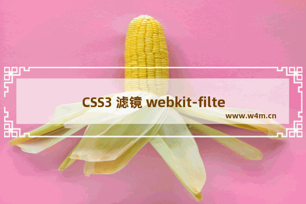 CSS3 滤镜 webkit-filter详细介绍及使用方法