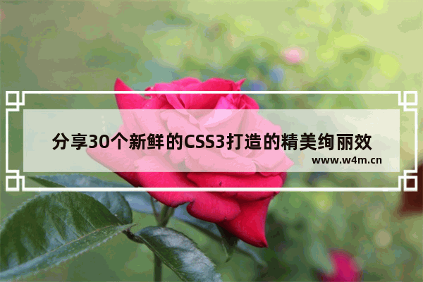 分享30个新鲜的CSS3打造的精美绚丽效果(附演示下载)