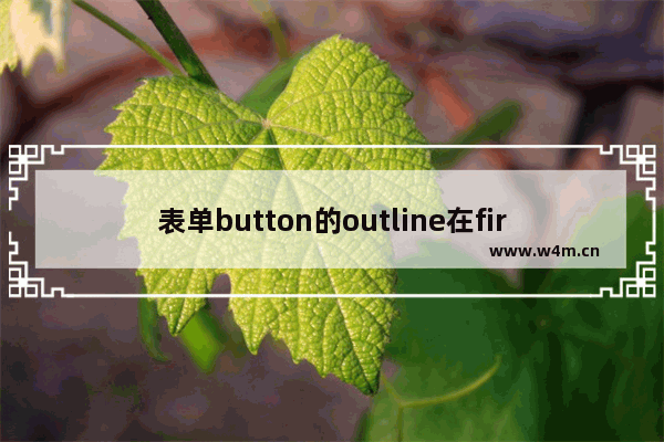 表单button的outline在firefox浏览器下的问题