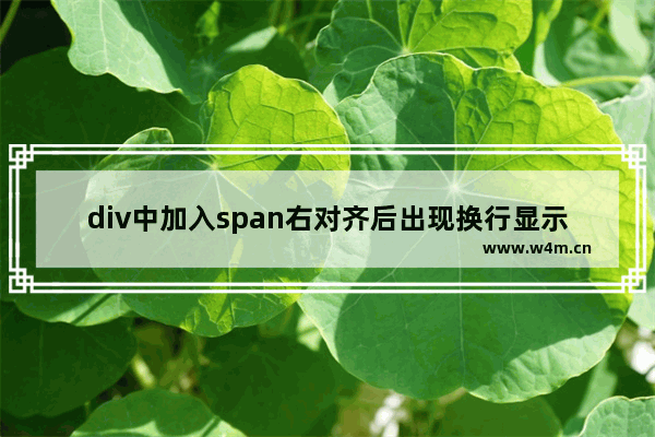 div中加入span右对齐后出现换行显示两种解决思路