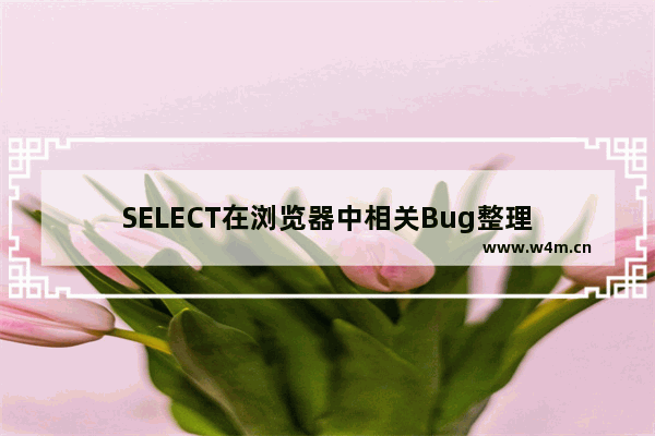 SELECT在浏览器中相关Bug整理