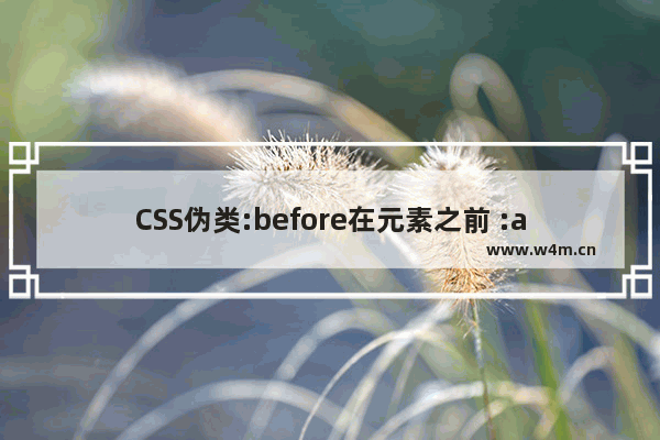 CSS伪类:before在元素之前 :after 在元素之后实例讲解