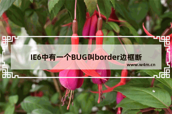 IE6中有一个BUG叫border边框断线现象(border边框部分消失)