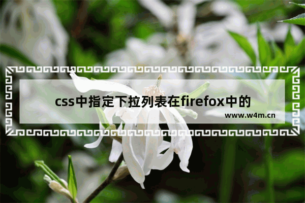 css中指定下拉列表在firefox中的宽度两种写法