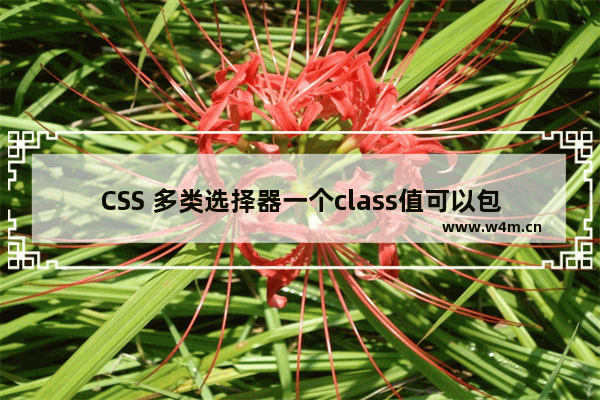 CSS 多类选择器一个class值可以包含一个词列表