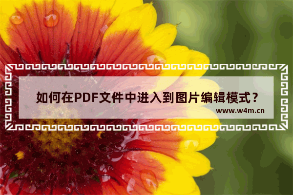 如何在PDF文件中进入到图片编辑模式？