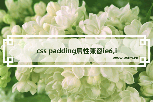 css padding属性兼容ie6,ie8,firefox实例详解