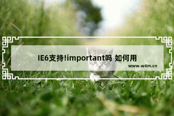 IE6支持!important吗 如何用!important解决浏览器兼容性问题