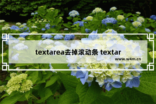 textarea去掉滚动条 textarea横向或纵向滚动条的去掉方法