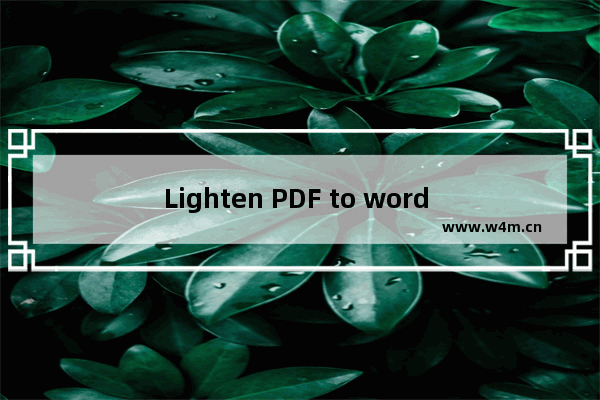 Lighten PDF to word Converter将PDF转换成Word文档的方法