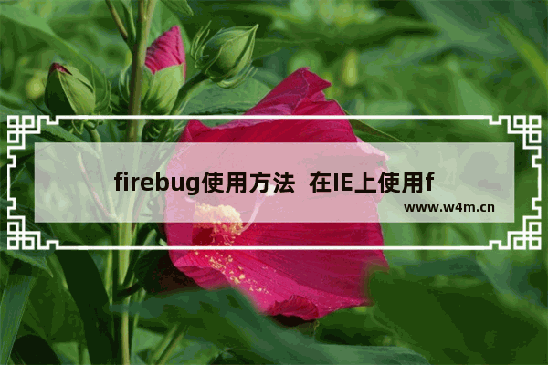 firebug使用方法  在IE上使用firebug的技巧图文介绍