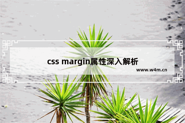 css margin属性深入解析