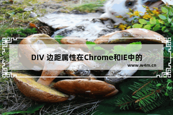 DIV 边距属性在Chrome和IE中的区别深入理解