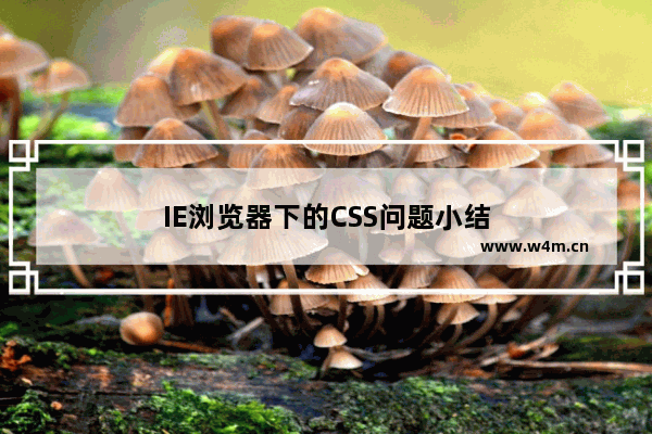 IE浏览器下的CSS问题小结