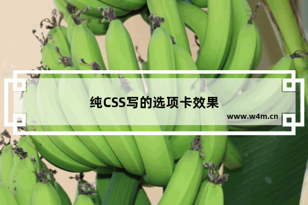 纯CSS写的选项卡效果