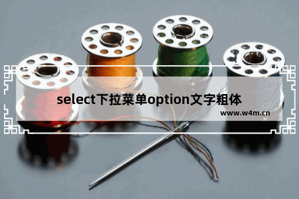 select下拉菜单option文字粗体的实现方法