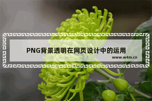 PNG背景透明在网页设计中的运用