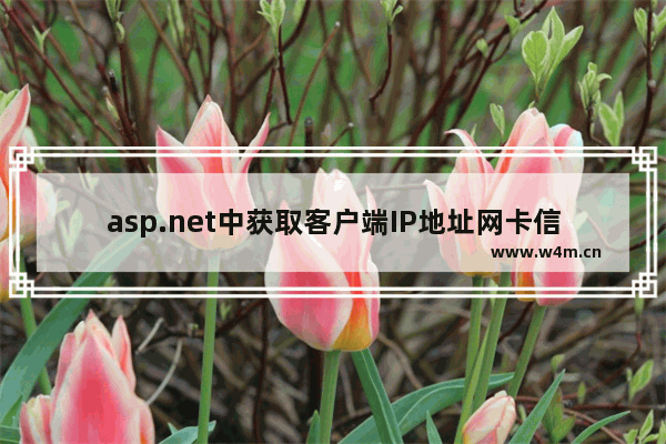 asp.net中获取客户端IP地址网卡信息等方法的代码