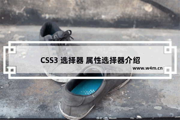 CSS3 选择器 属性选择器介绍