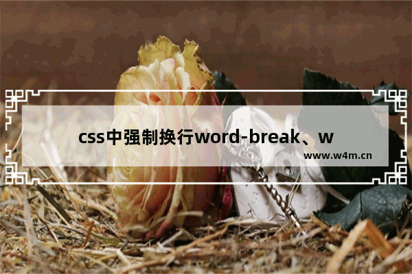 css中强制换行word-break、word-wrap、white-space区别实例说明