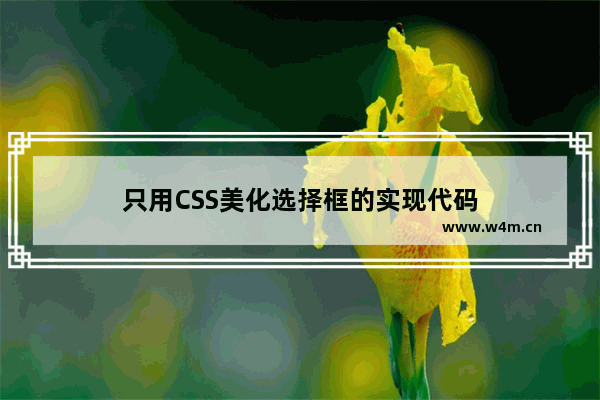 只用CSS美化选择框的实现代码