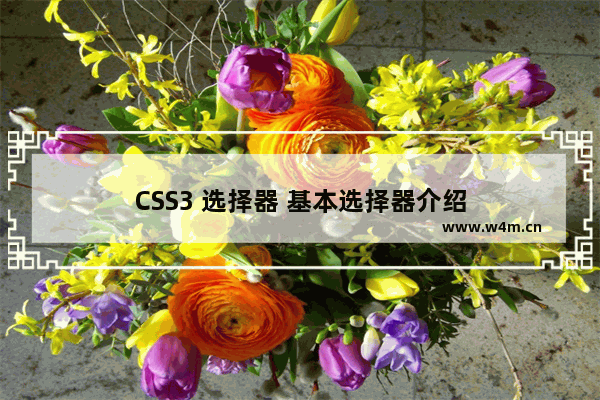 CSS3 选择器 基本选择器介绍