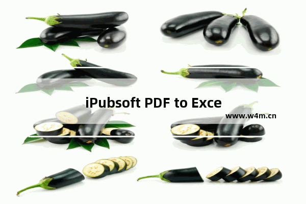 iPubsoft PDF to Excel Converter将PDF转换成Excel文件的方法