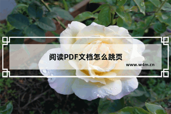 阅读PDF文档怎么跳页