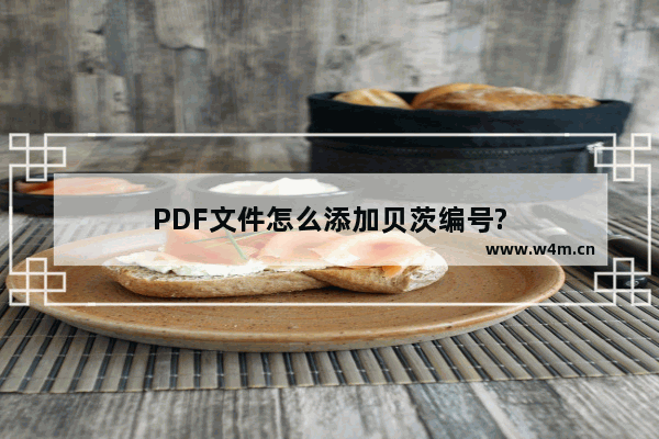 PDF文件怎么添加贝茨编号?