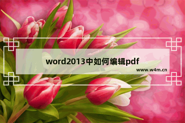 word2013中如何编辑pdf