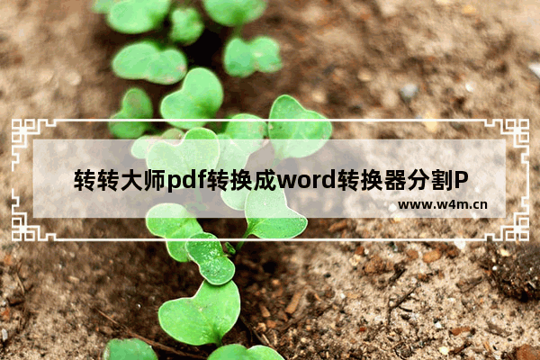 转转大师pdf转换成word转换器分割PDF的方法