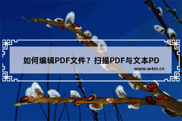 如何编辑PDF文件？扫描PDF与文本PDF修改教程！