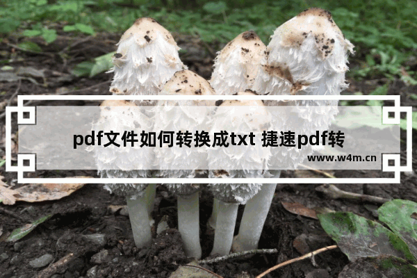 pdf文件如何转换成txt 捷速pdf转换成txt转换器使用教程