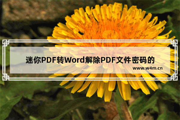 迷你PDF转Word解除PDF文件密码的方法