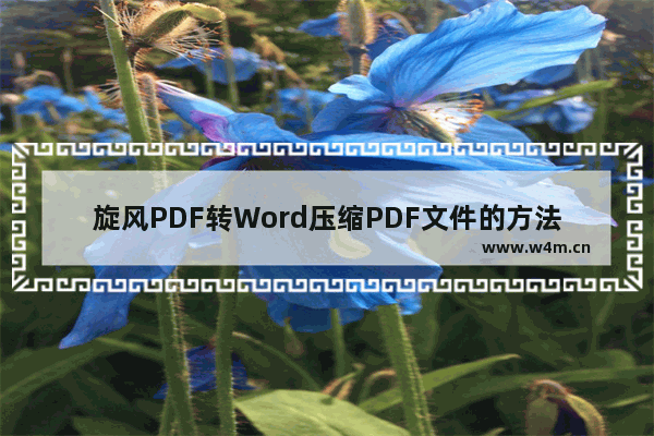 旋风PDF转Word压缩PDF文件的方法