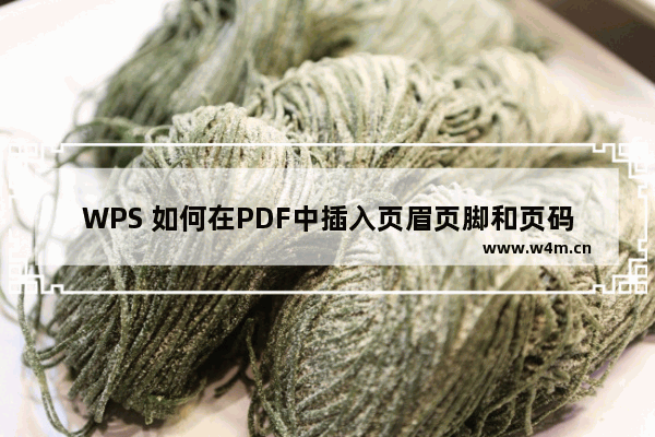 WPS 如何在PDF中插入页眉页脚和页码