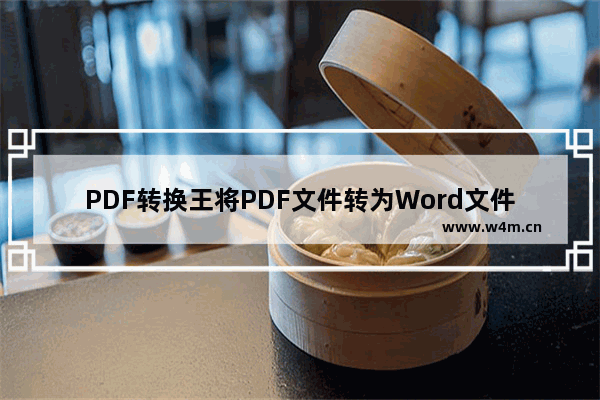 PDF转换王将PDF文件转为Word文件的方法步骤